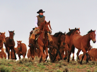 Nevada Ranch riding holiday