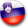 Slovenia flag